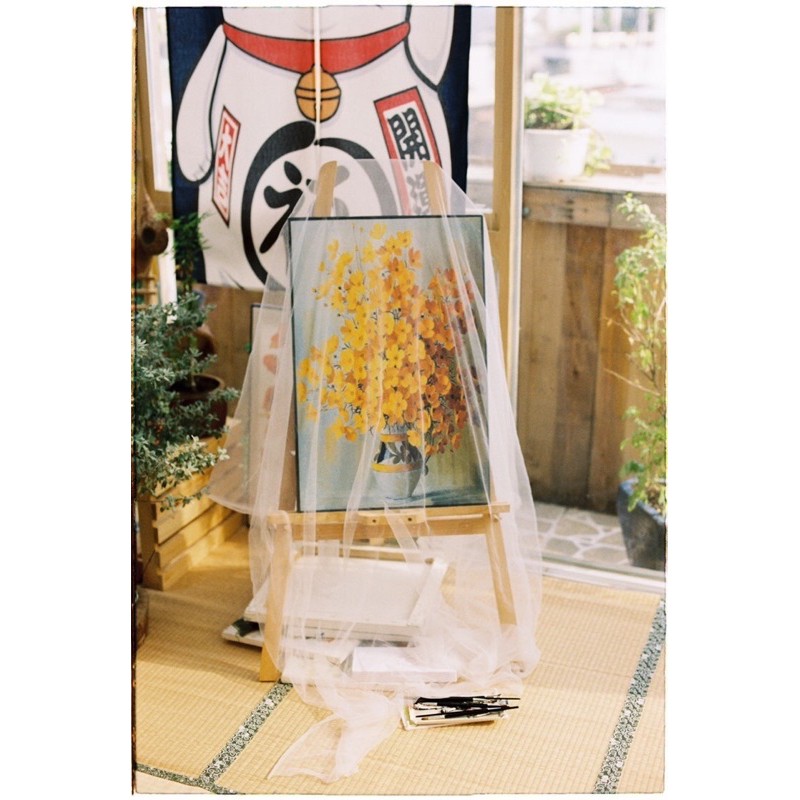 - Film 135  giá rẻ, film indate, 36 kiểu