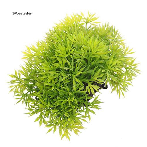 Cây cỏ nhân tạo bằng nhựa trang trí bể cá