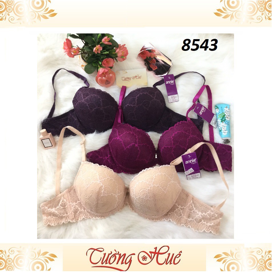 Áo lót nữ Annie Bra 8543 ren.