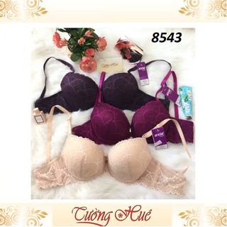 Áo lót nữ annie 8543 phối ren mút vừa.