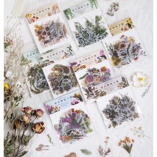 SET 40 STICKER NỀN TRONG CHỦ ĐỀ CÂY CỎ THIÊN NHIÊN DIY BULLET JOURNAL