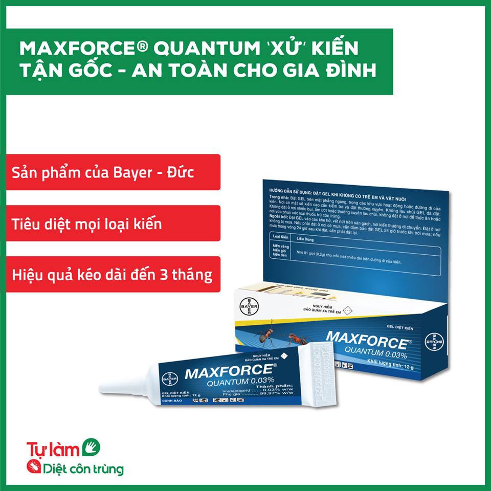 Diệt Kiến Dạng Gel Maxforce Quantum 0.03% (12g) - Bayer Đức nhập khẩu