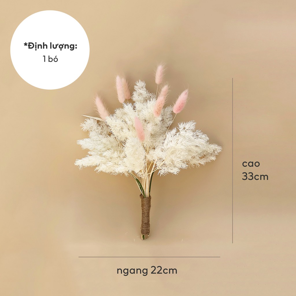 Hoa Khô Happy Flower - Combo hoa cỏ đuôi thỏ xinh xắn cắm bình trang trí nhà cửa, phòng ngủ
