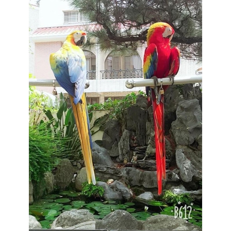 Xích chân và ổ khoá chuyên dụng cho vẹt Macaw và cockatoo