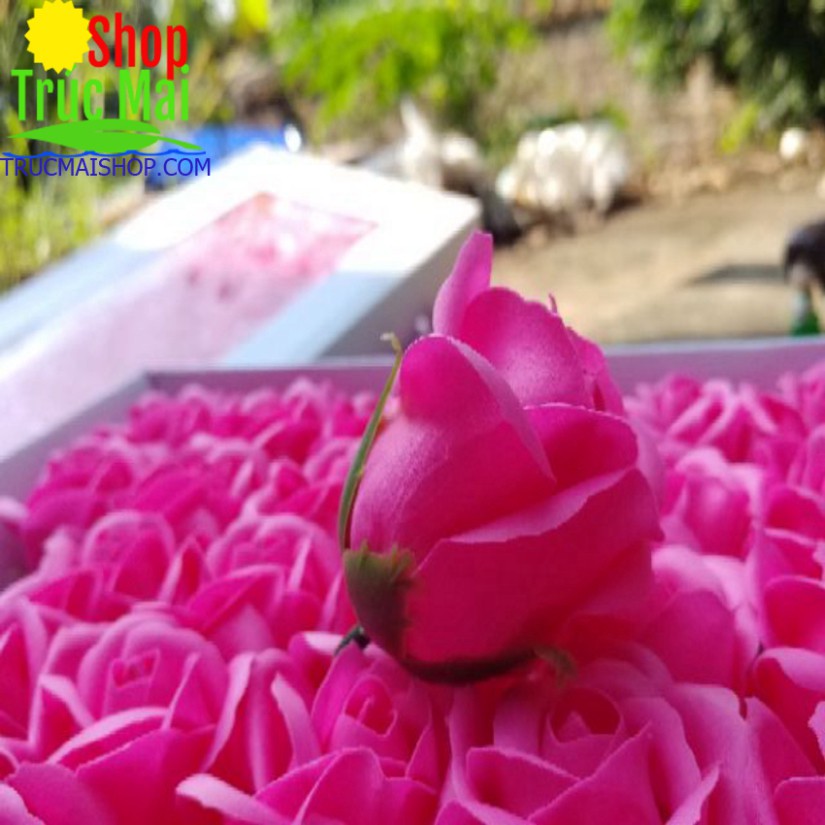 Đầu bông hoa hồng nhân tạo giống thật 99%