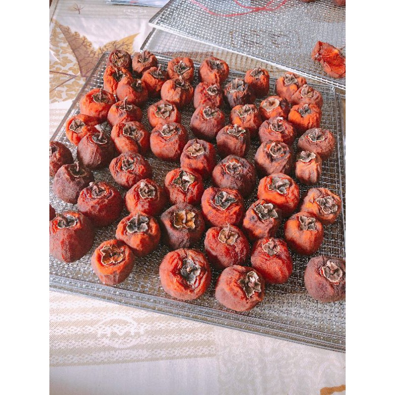 Máy sấy trái cây khô bò heo septree 10 tầng inox 304 khay 40*40cm