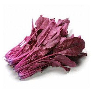30 hạt giống cải bó xôi đỏ