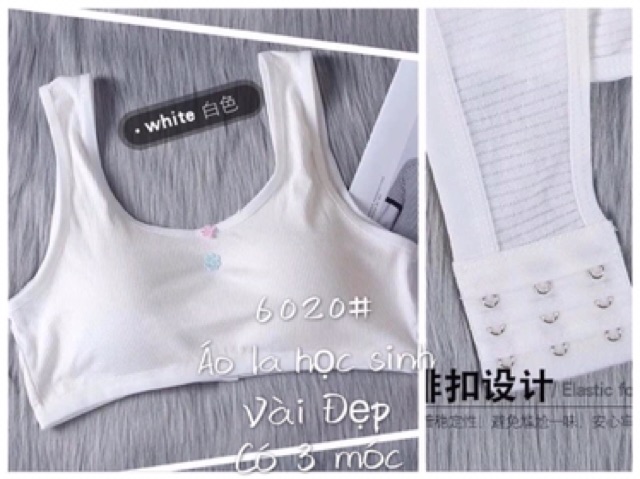 Áo lót áo bra học sinh cotton mềm đẹp_BR26