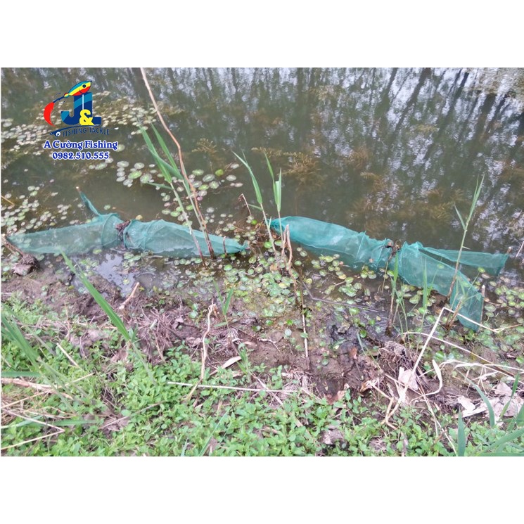Đăng chặn sông, cống - bắt tôm tép tất cả các loại cá - Dớn bắt cá, cua, lươn