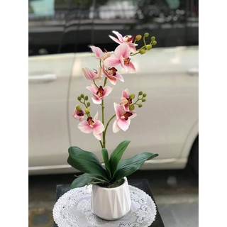 Chậu khía chất liệu gốm sứ dùng cắm hoa trang trí