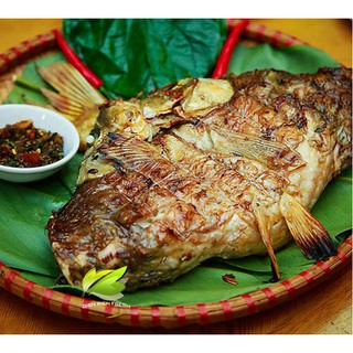 Hạt Dổi 100gr
