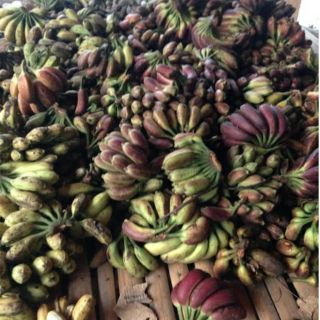 Chuối hột rừng 500g