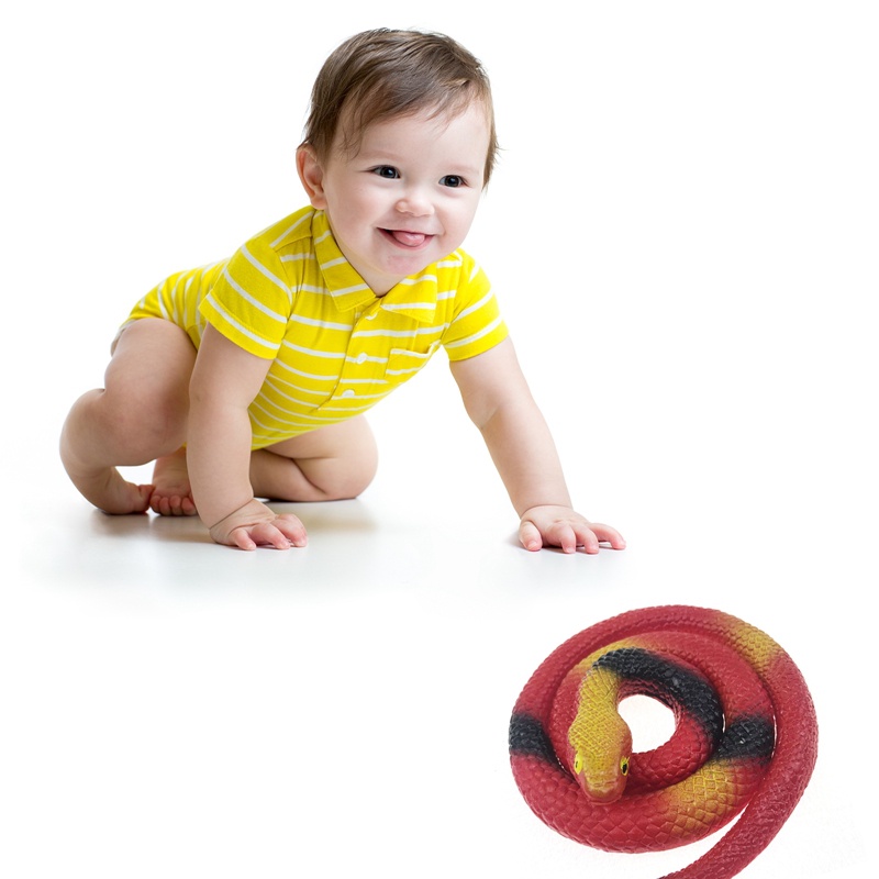 Rắn Nhựa Đồ Chơi Nhiều Màu Trông Giống Thật