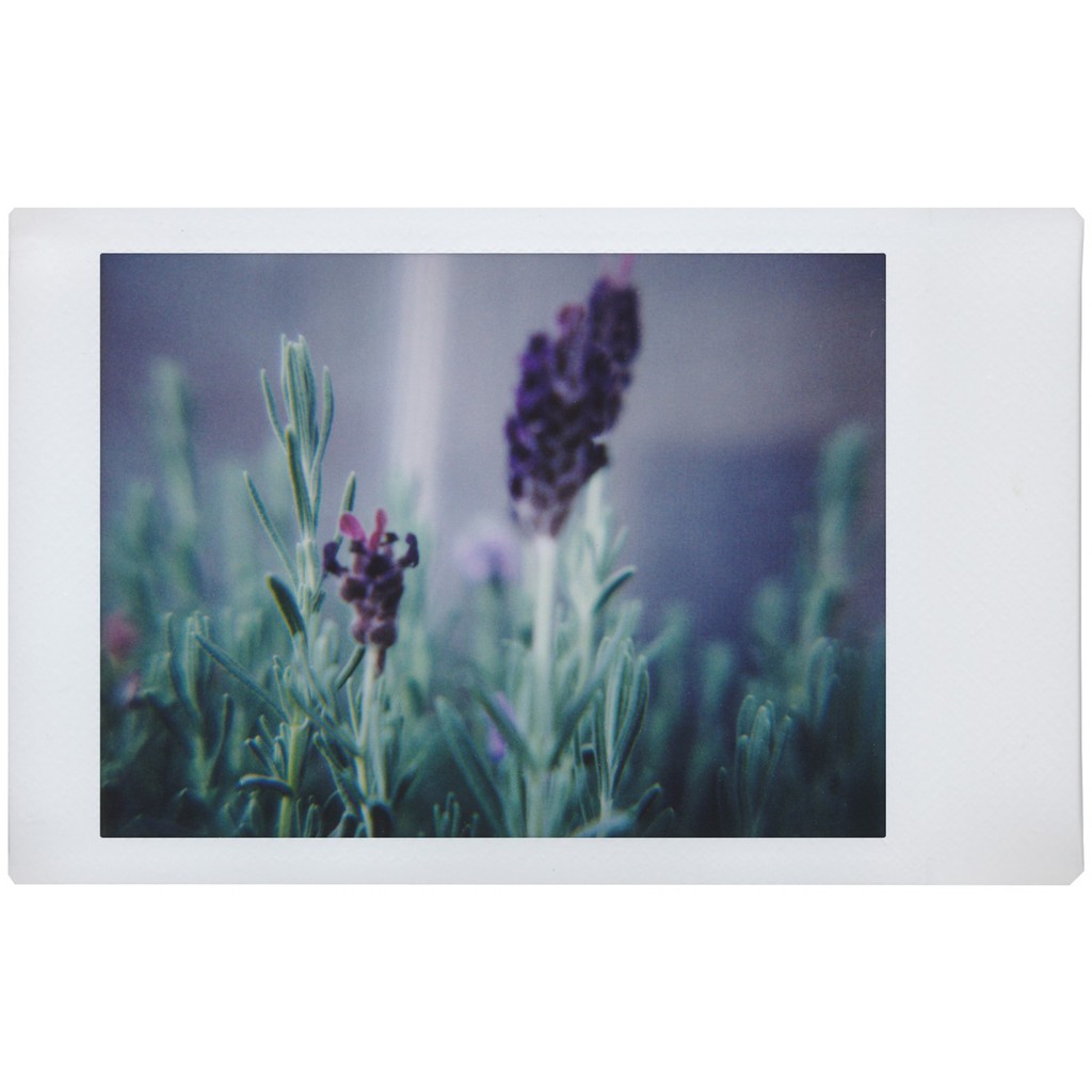 MÁY ẢNH CHỤP IN LIỀN LOMO’INSTANT AUTOMAT MÀU PLAYA JARDÍN(PIN MÁY, REMOTE)