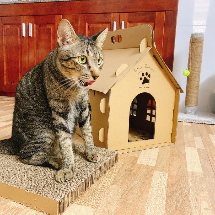 🎪🐱 Combo NHÀ GIẤY CARTON & BÀN CÀO MÓNG cho mèo 🐱🎪
