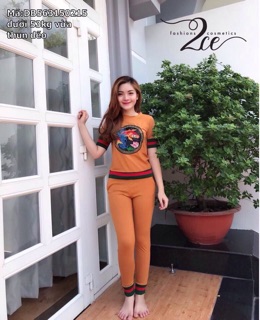 Set bộ cao cấp giá rẻ