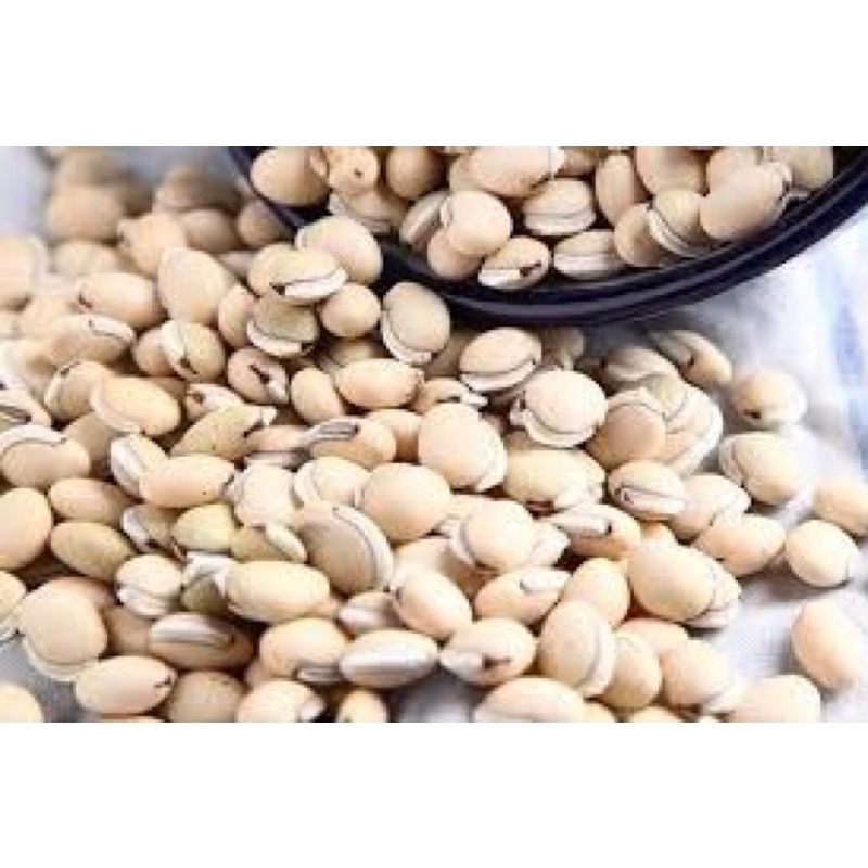BẠCH BIỂN ĐẬU loại 1( mới, thơm, đẹp) [ 500g]