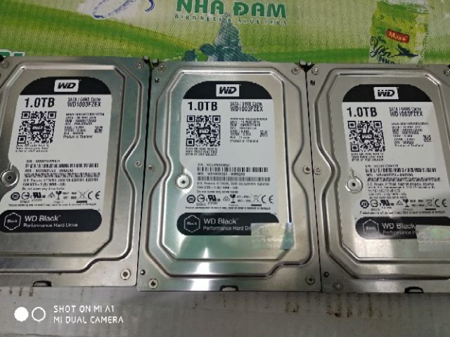 HDD server 1T | BigBuy360 - bigbuy360.vn