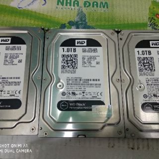HDD server 1T