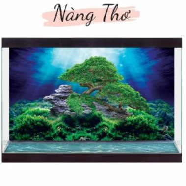 Tranh decal dán hồ cá 3D siêu đẹp
