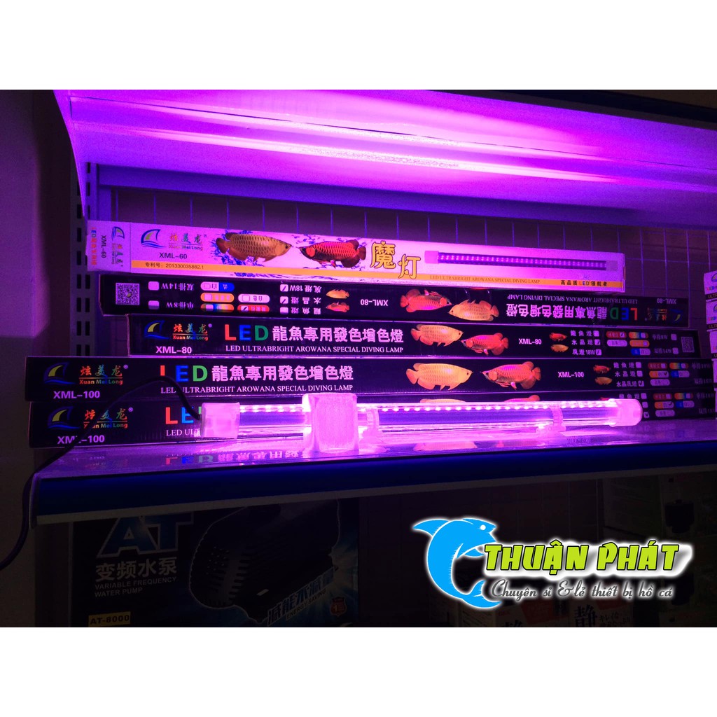 Đèn Hồ Cá XuanMeiLong XML 60 - 2 hàng Led phiên bản thủy tinh Siêu đẹp XML60 cm