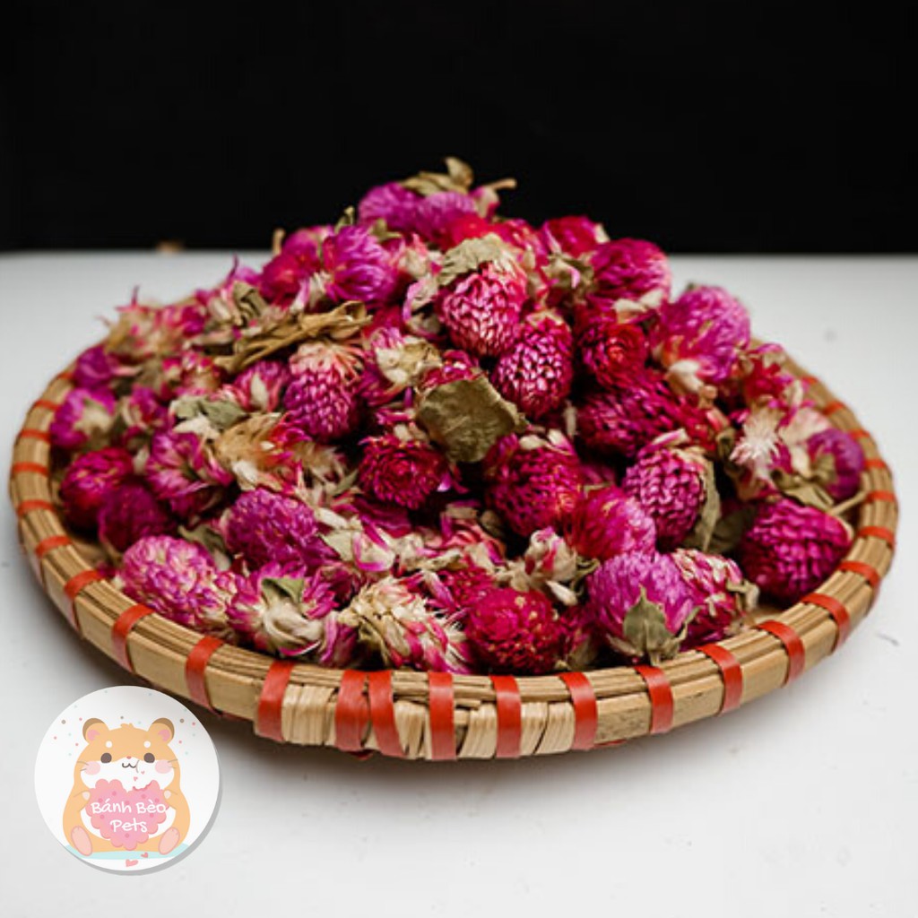 Hoa cúc bách nhật | Thức ăn cho Hamster