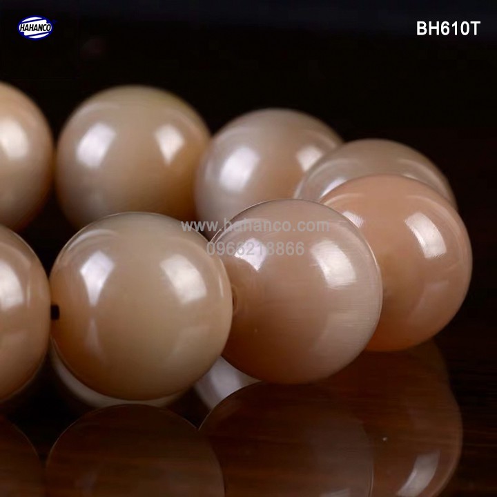 Vòng tay sừng trắng đuôi lục hạt - Đây sẽ là thứ mang tài lộc - may mắn về nhà bạn  501