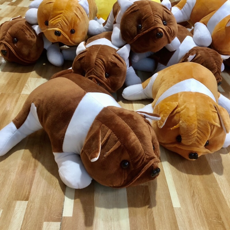 ❤️Sỉ Giá Xưởng❤️ Gấu Bông Chó Mặt Sệ , Thú Bông Chó Nhăn Siêu Đáng Yêu