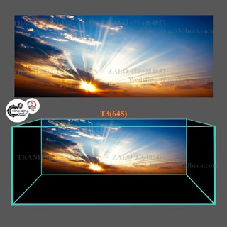 Tranh dán hồ cá 3d , hồ cá rồng , la hán , cá dĩa …