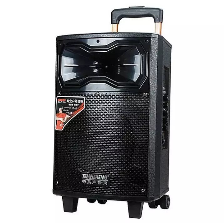 Loa kéo di động TEMEISHENG QX-0831 BASS 2 TẤC