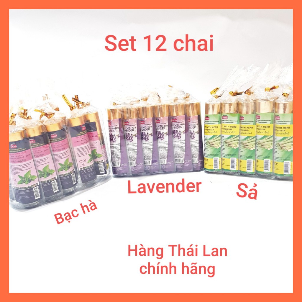 Set 12 chai Dầu Lăn Thảo Dược Thái Lan Hương Lavender - Sả - Bạc Hà