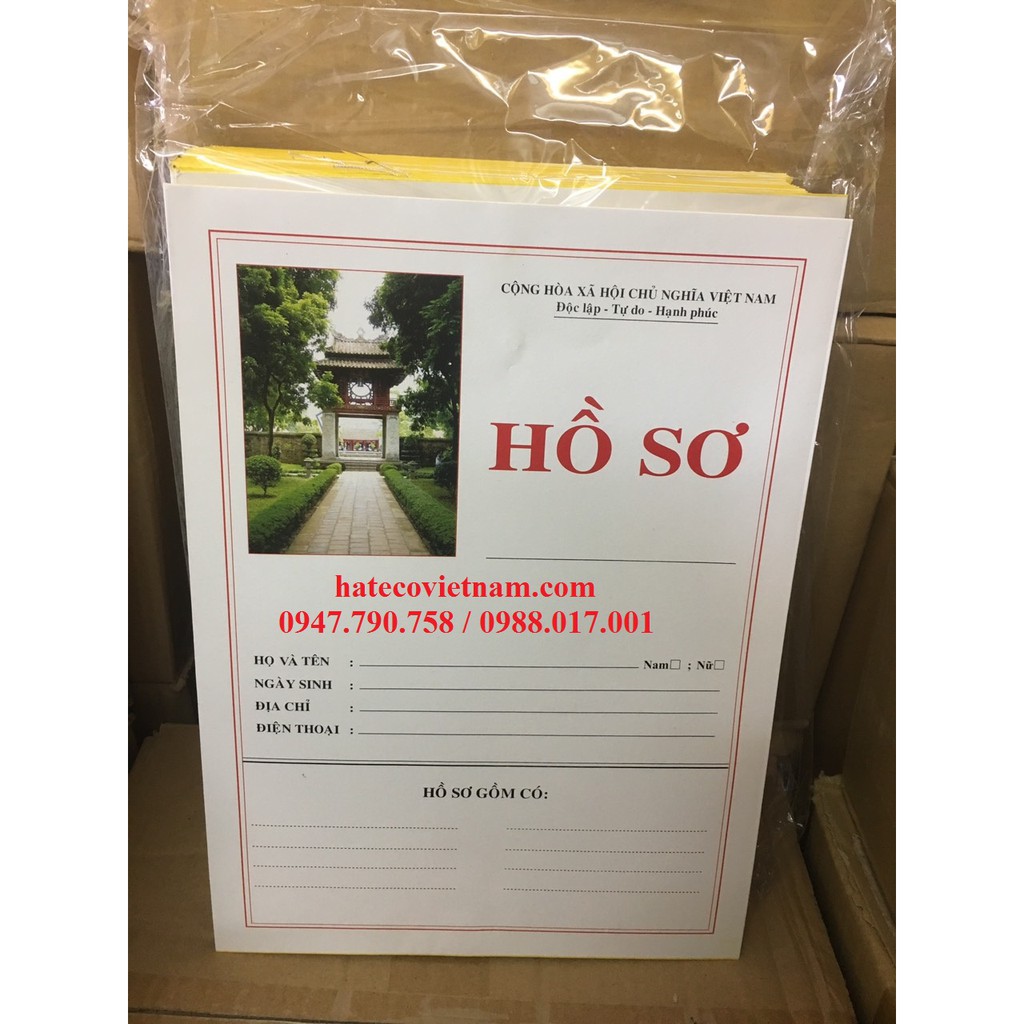 Combo 50 Bộ Hồ sơ xin việc vàng dày bóng ĐL200 (LOẠI 1) - Hồ sơ xin việc