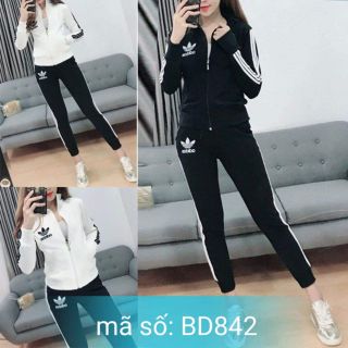 Set nguyên bộ thể thao dây kéo thêu logo 2 túi