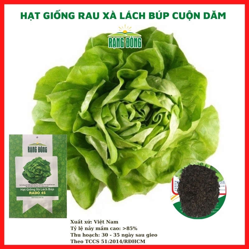 Hạt giống rau củ quả COMBO 9 loại rau chịu nhiệt 4 mùa trồng chậu dễ chăm sóc, tỉ lệ nảy mầm cao RÂDO