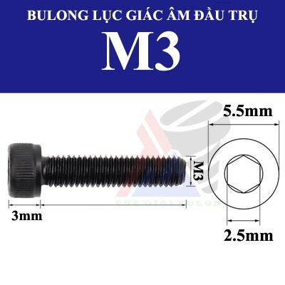 10 con Bulong lục giác chìm đầu trụ thép đen M3 nhiều kích thước