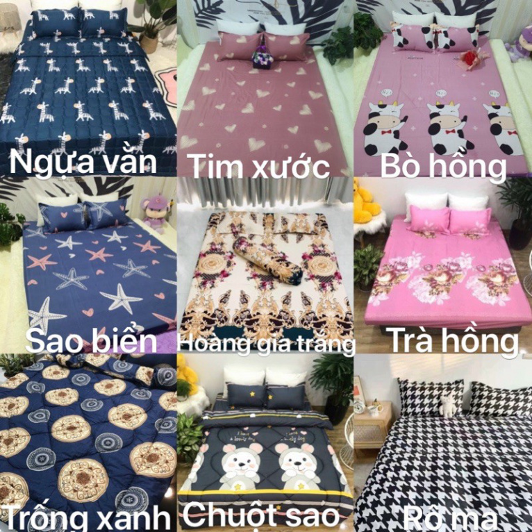 Bộ 1 Ga chun và 2 vỏ gối Cotton poly, chat chọn mẫu. | BigBuy360 - bigbuy360.vn