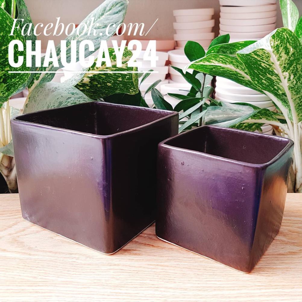 Chậu sứ trồng cây cảnh để bàn, cây nội thất, cây hoa kiểng, cây bonsai hình vuông