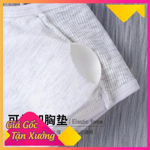 Áo Lót Nữ, Áo Bra Học Sinh,Bé Gái Có Đệm Ngực - Bra 6059