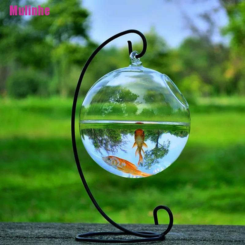 Bình Hoa Thủy Tinh Treo Tường Trang Trí Nhà Cửa DIY