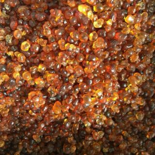 Nhựa đào 100g loại 1