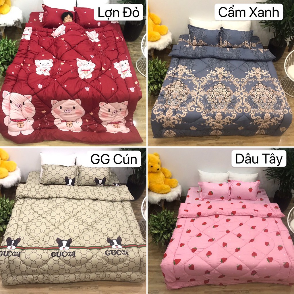 Chăn Mền Hè Chần Bông , Vỏ Chăn Cotton Poly Mẫu Ngẫu Nhiên Hoặc IB Chọn Mẫu