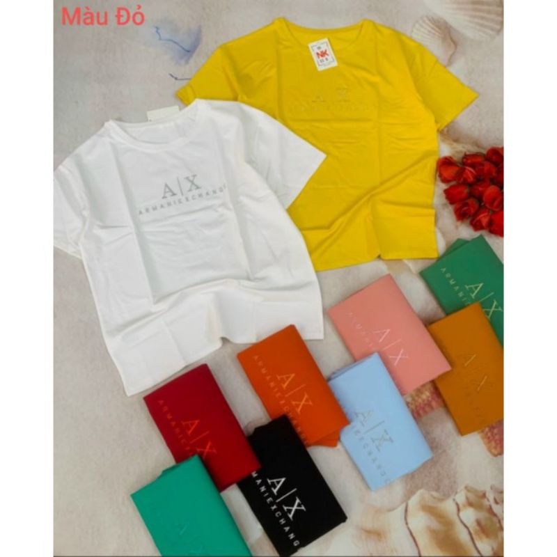 Áo thun nữ cổ tròn chất vải cotton 100% thoáng mát thoải mái (size 47-65kg)