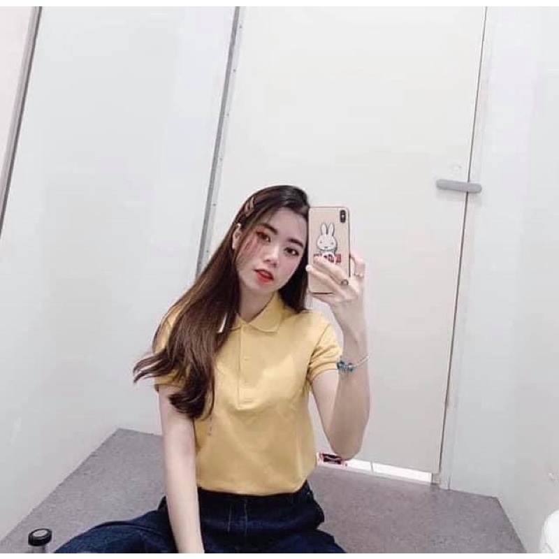 Áo polo nữ Uniqlo chính hãng