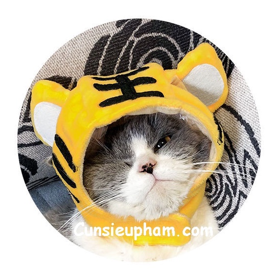 Nón đeo hình thú bông nón cá nướng cho chó mèo