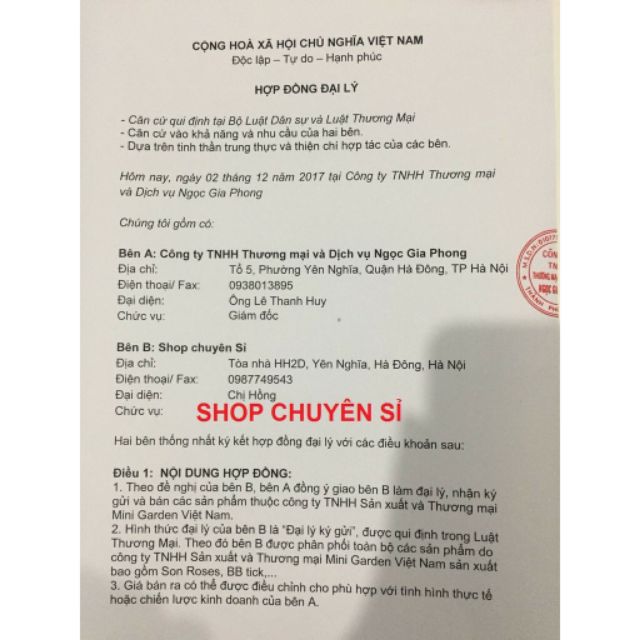 [CHÍNH HÃNG] Son Kem Lì Roses Mini Garden Không Trôi Màu Son Siêu đẹp | BigBuy360 - bigbuy360.vn