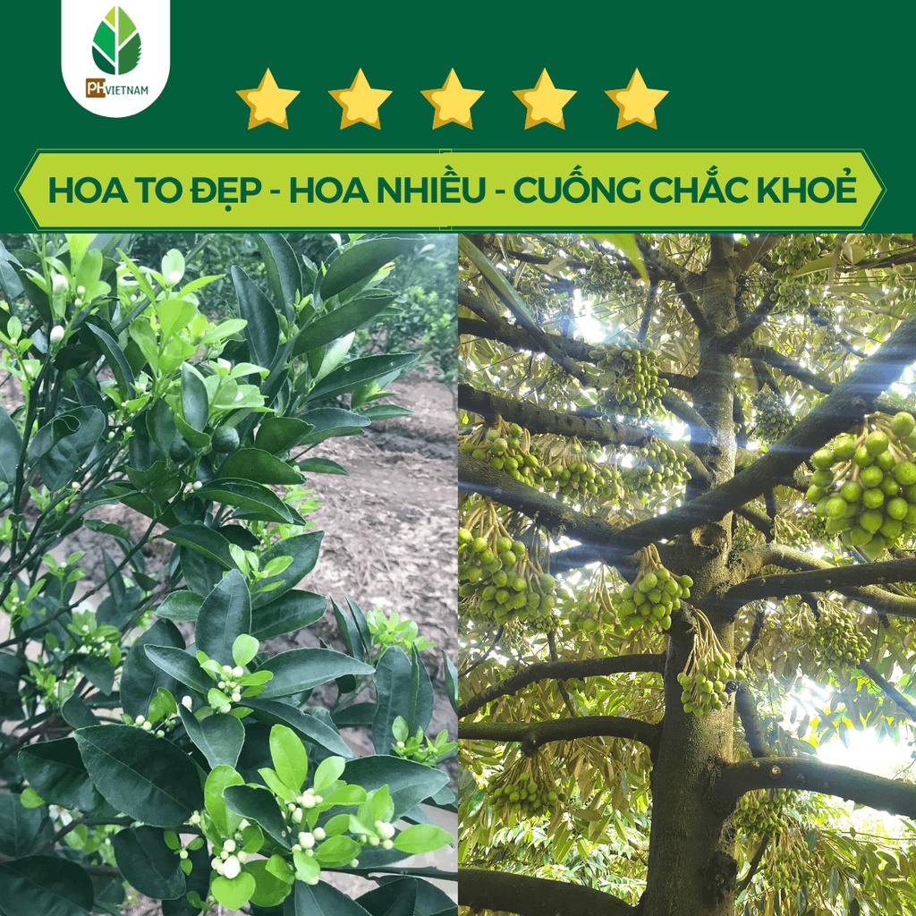 Phân Bón Lớn Trái Hữu Cơ - Trái Lớn Nhanh - Bông To Dài - Trái To Bóng - PH Việt Nam
