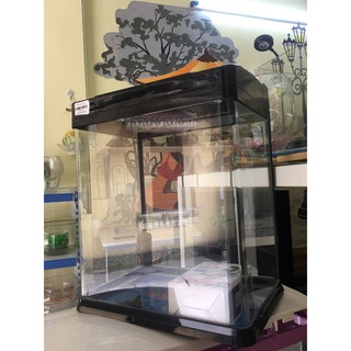 Bể đúc XQ320A full phụ kiện