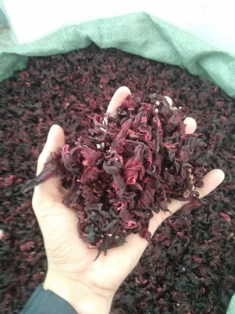 Trà Hoa Atiso đỏ, bụp giấm 100gram + Tặng 10 hạt giống Atiso đỏ | BigBuy360 - bigbuy360.vn