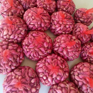 Hành tím Phan Rang chất lượng 1kg