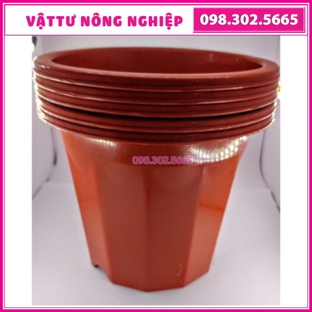 Combo 5 chậu nhựa trồng cây E330 (28x18x25cm)